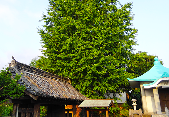 ご納骨のご案内